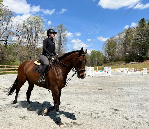 young mare with rider