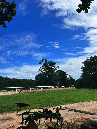 photo of blue sky with a cloud appear as the word "IF"